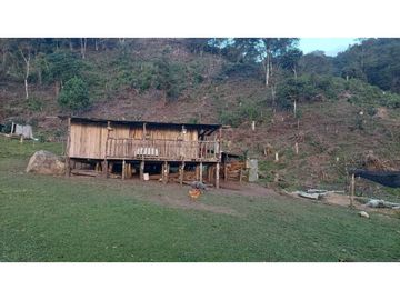 SE VENDE FINCA EN GENOVA QUINDIO