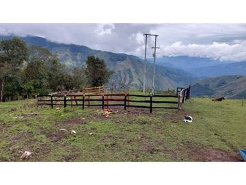 SE VENDE FINCA EN GENOVA QUINDIO