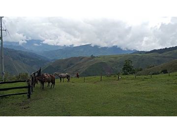 SE VENDE FINCA EN GENOVA QUINDIO
