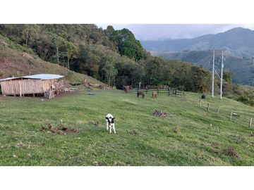 SE VENDE FINCA EN GENOVA QUINDIO