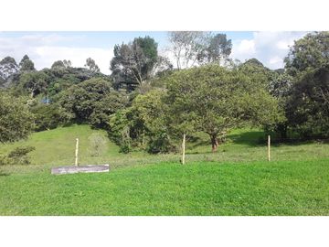 VENTA  FINCA  10 MINUTOS DE ARMENIA . 8707 M2