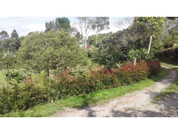 VENTA  FINCA  10 MINUTOS DE ARMENIA . 8707 M2