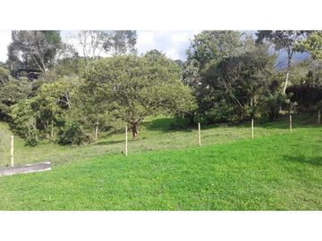 VENTA  FINCA  10 MINUTOS DE ARMENIA . 8707 M2