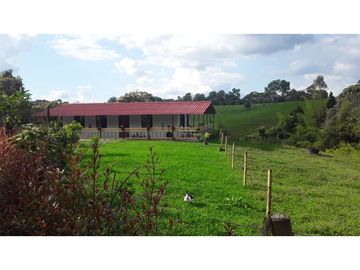 VENTA  FINCA  10 MINUTOS DE ARMENIA . 8707 M2
