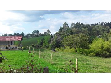VENTA  FINCA  10 MINUTOS DE ARMENIA . 8707 M2