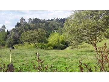 VENTA  FINCA  10 MINUTOS DE ARMENIA . 8707 M2