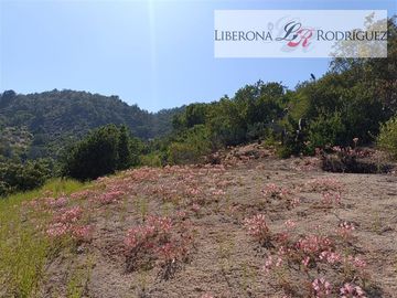 Parcela en Venta en Paño de parcelas en La Rinconada, Olmué
