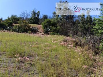 Parcela en Venta en Paño de parcelas en La Rinconada, Olmué