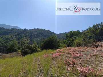 Parcela en Venta en Paño de parcelas en La Rinconada, Olmué