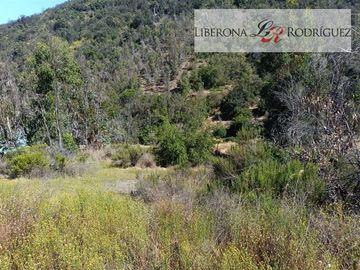 Parcela en Venta en Paño de parcelas en La Rinconada, Olmué