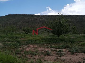 Se VENDE Rancho en General Cepeda
