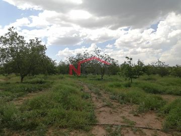Se VENDE Rancho en General Cepeda