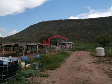 Se VENDE Rancho en General Cepeda