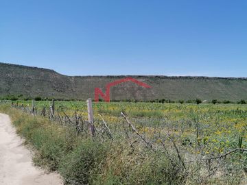 Se VENDE Rancho en General Cepeda