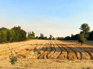 Gran Chalet con Terreno Agroresidencial