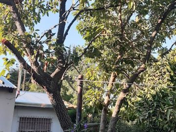 Venta Casa sobre lote de 10x40 en  Glew