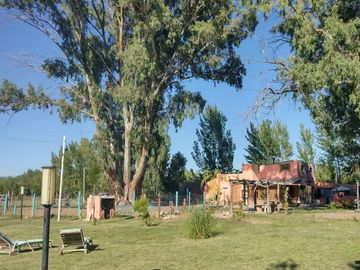Quinta en  General Roca