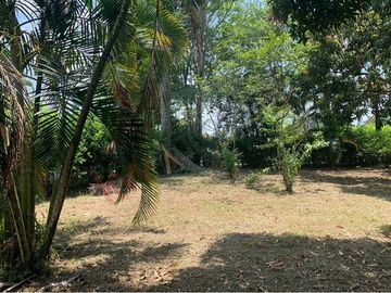 VENTA FINCA PUERTO TEJADA, CAUCA-7304