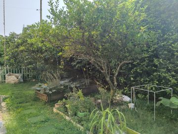 VENTA DE CASA CAMPESTRE EN GUADUALES DE LAS MERCEDES JAMUNDI