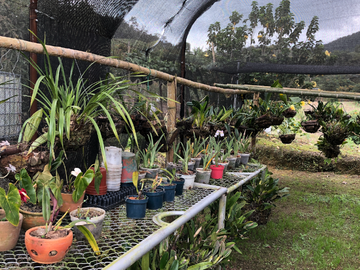 Venta De Finca Puente Tierra Via Al Lago Calima Valle Del Cauca