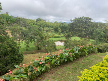 Venta De Finca Puente Tierra Via Al Lago Calima Valle Del Cauca