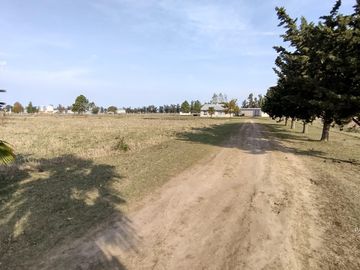 Quinta de 2 hectáreas en venta sobre Ruta 41, General Belgrano