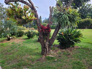 Venta de Finca en Guarne Excelente Ubicación Unidad Cerrada