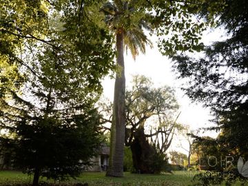 Lote en venta en Moron