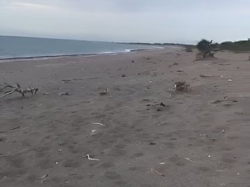 Terreno con Playa,  en Punta Coyote Baja California Sur,