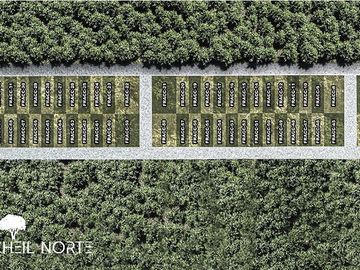 TERRENOS EN VENTA EN YUCATÁN. TIXKUNCHEIL NORTE LOTES DE OPORTUNIDAD