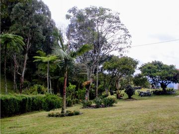 Venta de Finca Campestre En Rionegro Tablazo