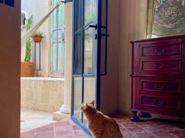 Casa Colonia en venta en Campeche en barrio de San Roman