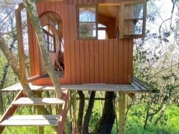 ENCANTADORA CASA EN EL BOSQUE LAS ACHIRAS
