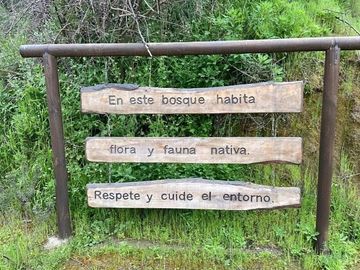 ENCANTADORA CASA EN EL BOSQUE LAS ACHIRAS