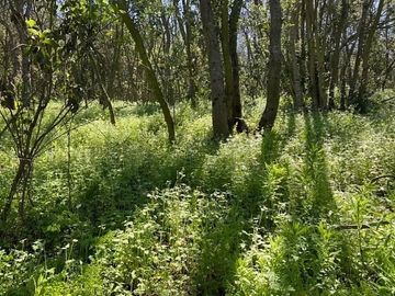 ENCANTADORA CASA EN EL BOSQUE LAS ACHIRAS