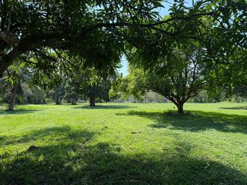 Casa campestre de 12,164 m2 en venta La Antigua. VERACRUZ, VER. PARA INVERSIÓN