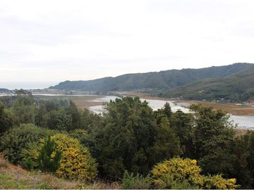 Venta de parcelas con vista al mar y río en Mehuin