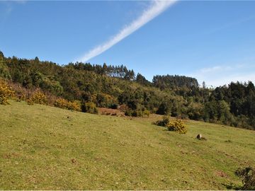 Venta de parcelas con vista al mar y río en Mehuin
