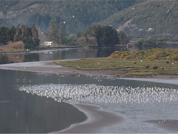 Venta de parcelas con vista al mar y río en Mehuin