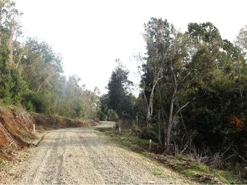 Venta de parcelas con vista al mar y río en Mehuin