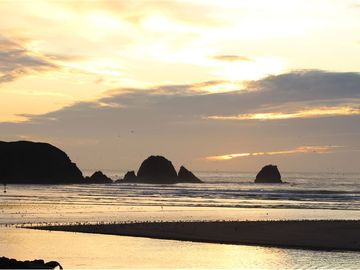 Venta de parcelas con vista al mar y río en Mehuin