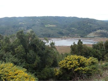 Venta de parcelas con vista al mar y río en Mehuin