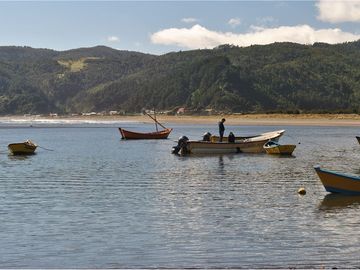 Venta de parcelas con vista al mar y río en Mehuin