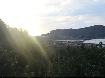 Venta de parcelas con vista al mar y río en Mehuin