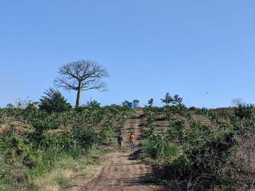 Finca en Venta Via a la Costa Km 36,5 , IngG