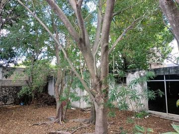 En Venta, Casa en la Col. Buenavista a 100 metros de Prol. Montejo
