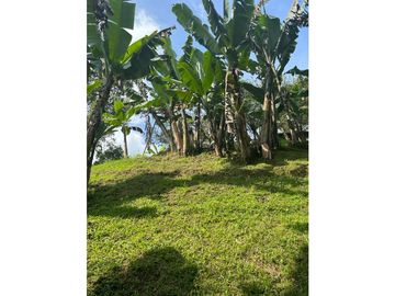 4180753 Venta Finca Hotel Montenegro, Quindío