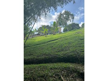 4180753 Venta Finca Hotel Montenegro, Quindío