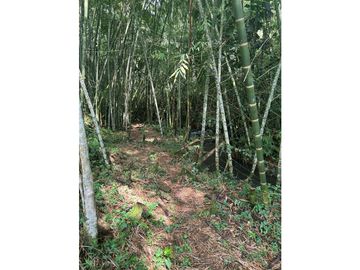 4180753 Venta Finca Hotel Montenegro, Quindío