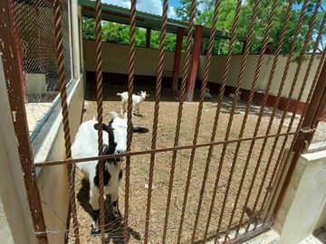Casa de campo tipo rancho en Paraíso, progreso